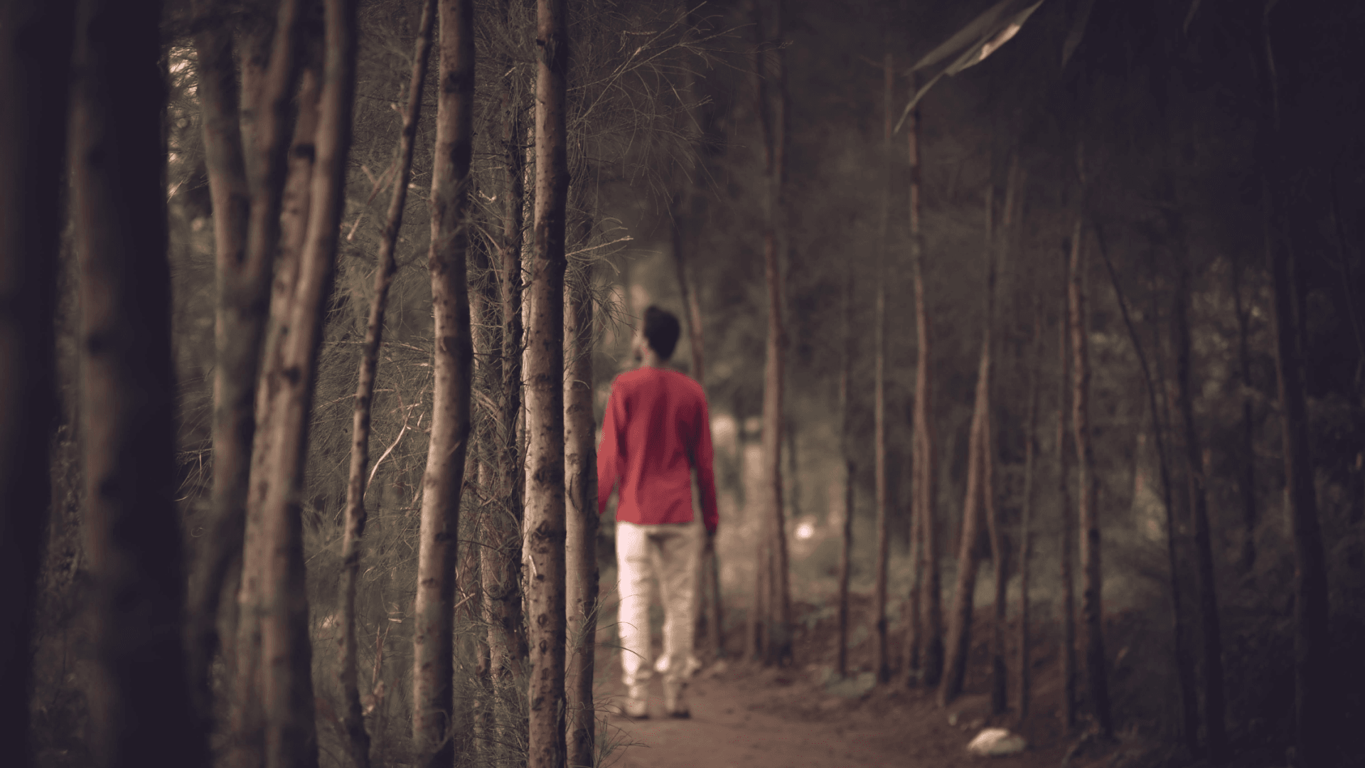 Kirjailija - oletko pantser vai plotter