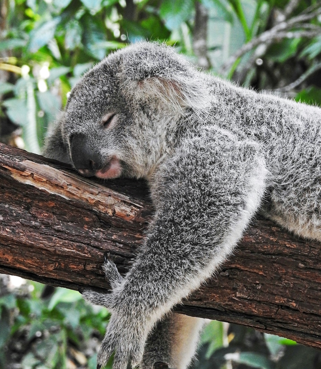 Oletko lahjakas? Mitä lahjakkuus on?