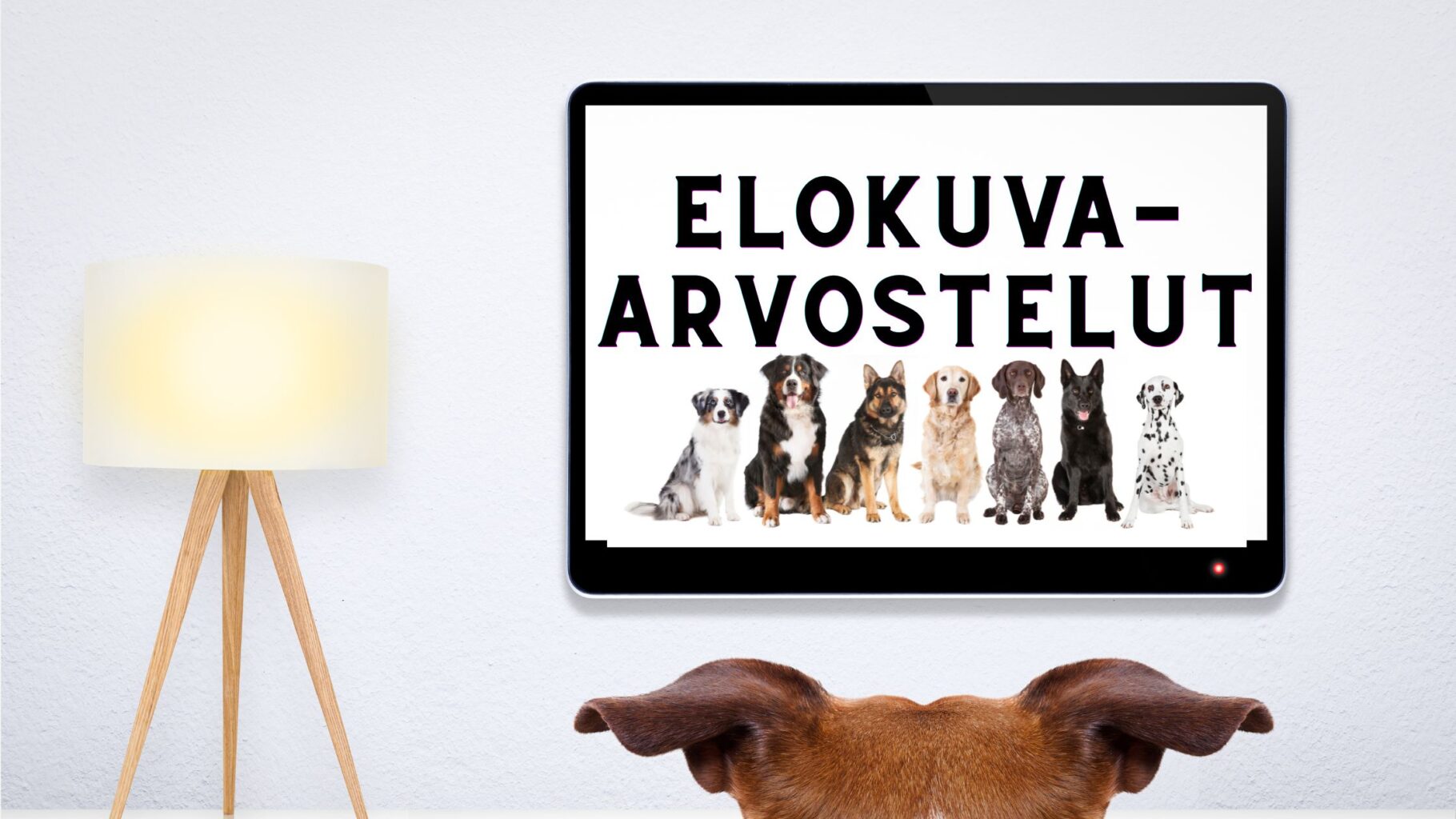 Elokuva-arvostelut